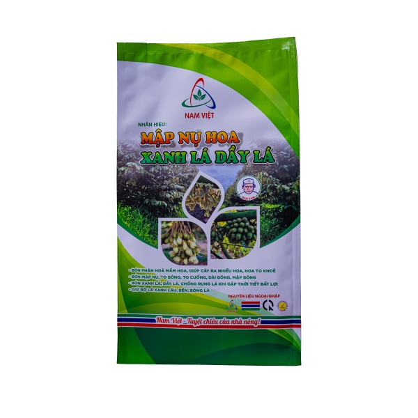 MẬP NỤ HOA - XANH LÁ - DẦY LÁ